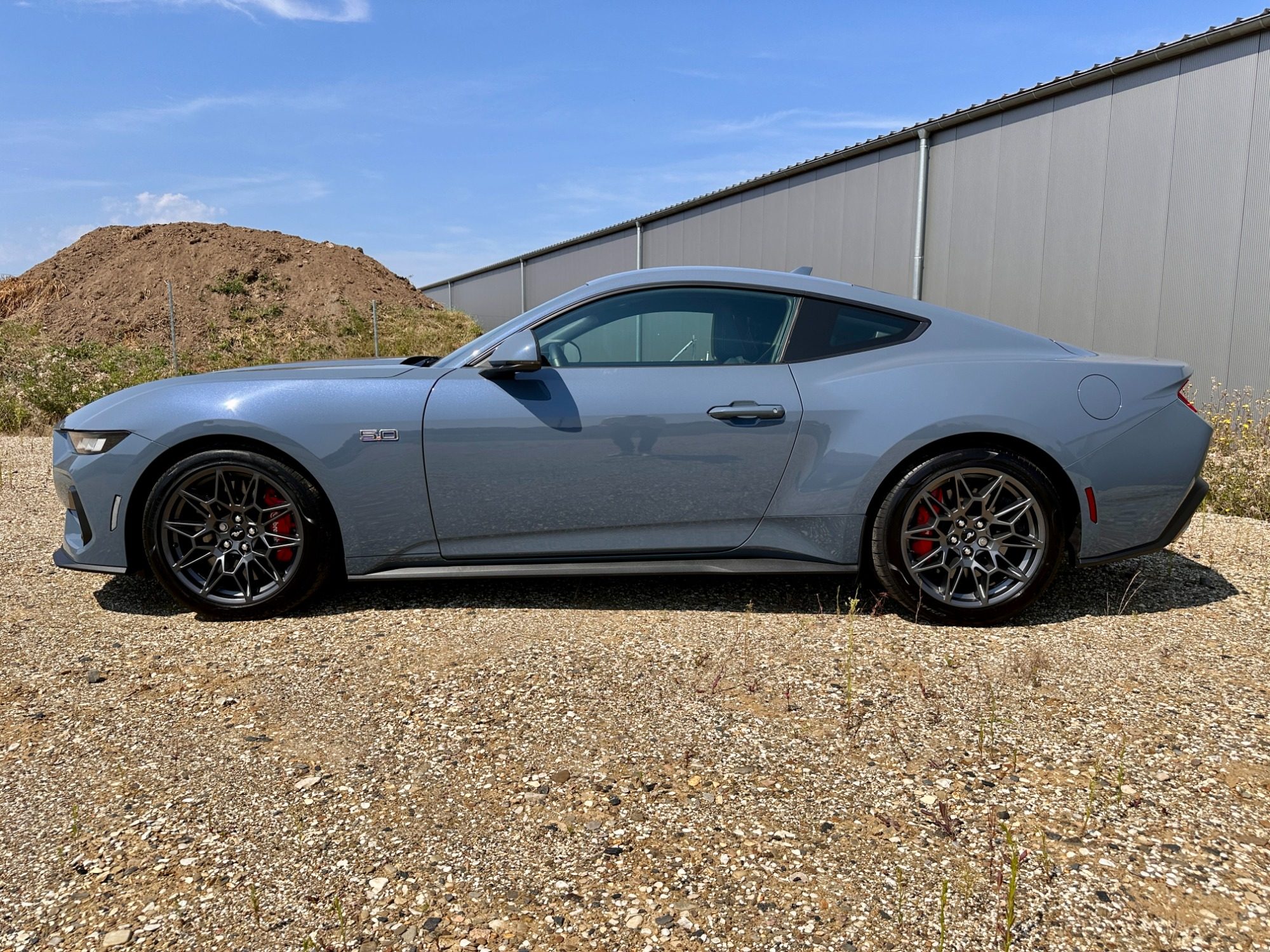 Ford Mustang GT – Seitenlinie · 5.0 V8